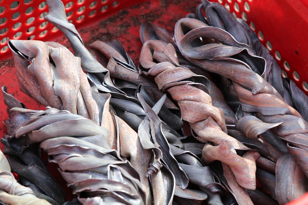 Twisted,Lead,As,Scrap,Metal,In,A,Crate
